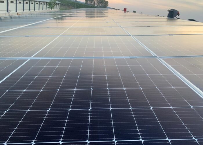 Berdice shkoder - Deivisi shpk